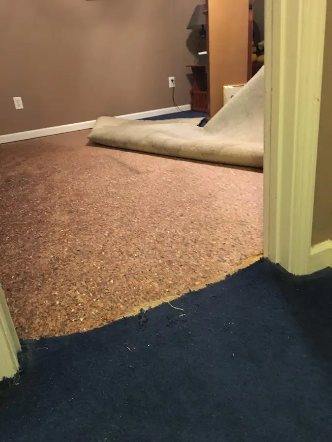Carpet pad removal revealing water damage during Drying & Dehumidification in Voorhees